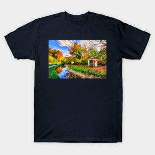 Hubbards Hills, Louth, Autumn Leaves T-Shirt